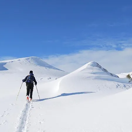 Bergliebe Apartamento Grossarl
