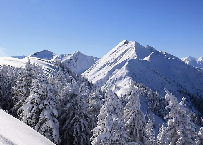 Appartement Bergliebe *